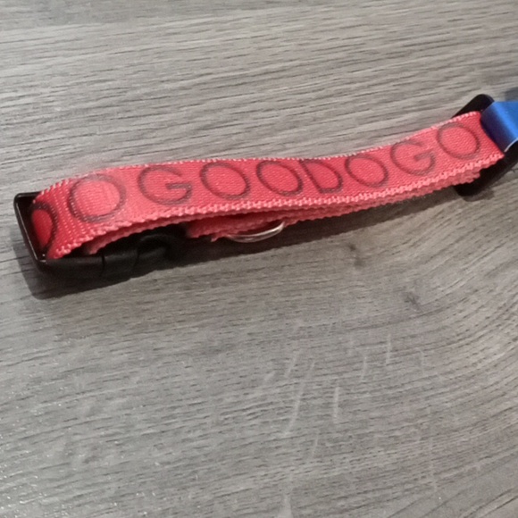 BNWT small dog Cesar Millan/ Cesars Way 9-14" collar. Red. - Picture 2 of 4